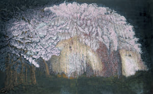 しだれ桜 ライトアップ